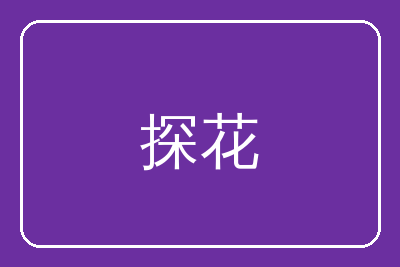 探花